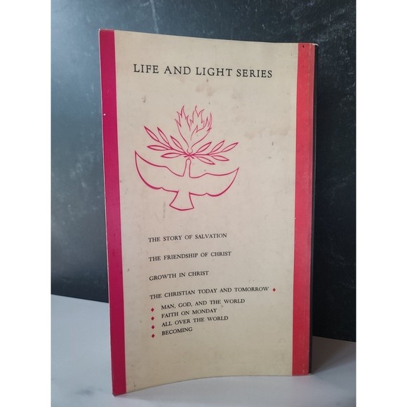 Life And Light Series All Over The World By Rev. Joseph Petulla - Picture 9 of 10